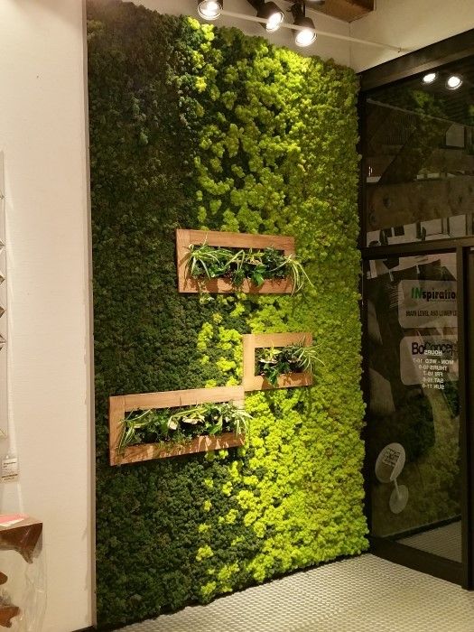 Peaceful indoor living wall designs for any home  16