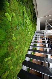 peaceful-indoor-living-wall-designs-for-any-home-7
