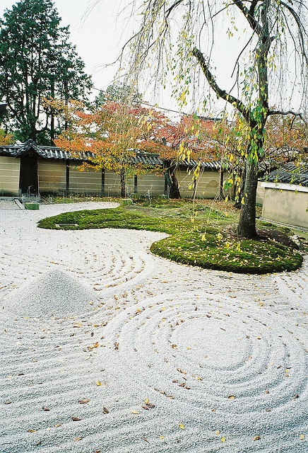 Lots of zen gardens are dry landscapes. That's why you need a lot of small stones or sand to design such garden.