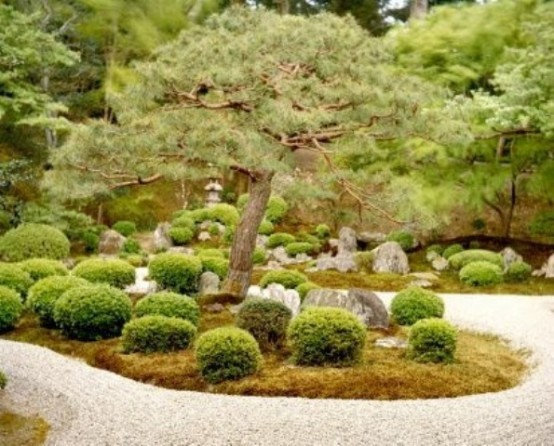 Evergreens are the most popular plants in Japanese gardens. They usually came in different sizes with different shapes carefully mixed together.