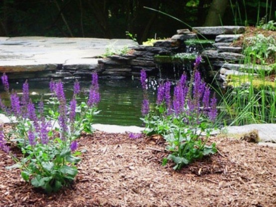 A Backyard pond is a great addition to a garden if you aren't going for a dry landscape.