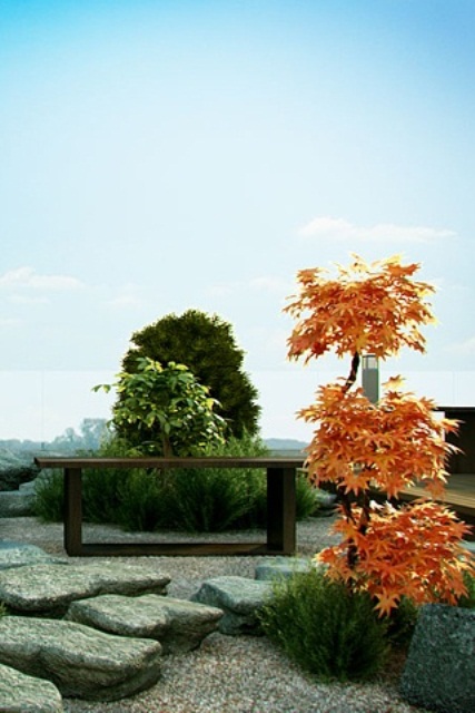 There are many kinds of Japanese maples that have different leaves colors and shapes. That make them as popular for designing a zen garden as different evergreens.