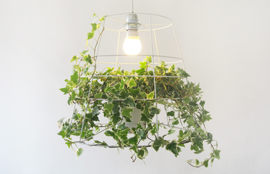 Creative Grow Lamp for Home – Photosynthesis Lamp