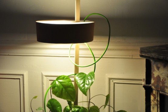 Practical Planter Pot Combined With a Lamp That Illuminate The Plant and Helps It Grows