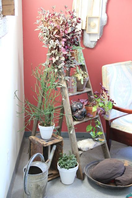 a ladder can be used for storing pieces or decor and when you need it, just fold it and take away