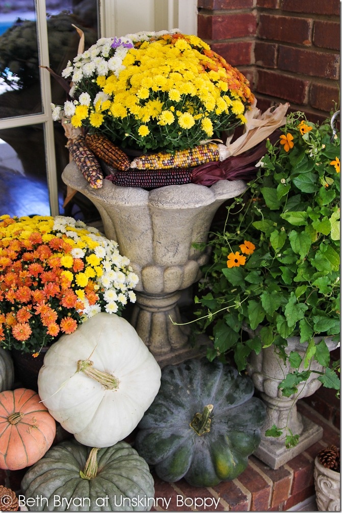 Add some corn hobs to your arrangements to accompany all these pumpkins.