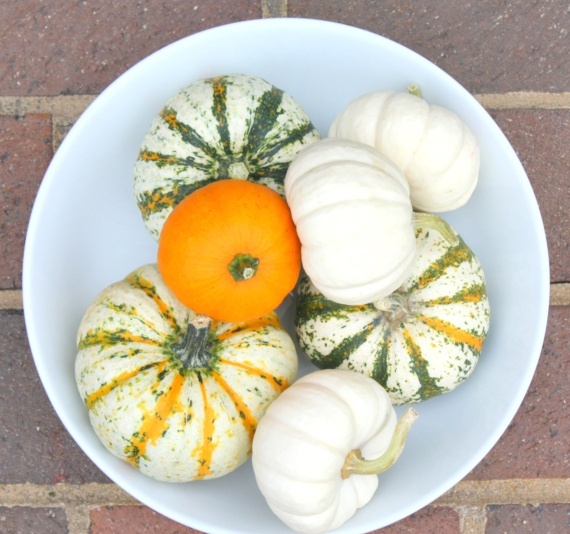 A bowl with natural and non painted pumpkins is a cool fall centerpiece or just decoration