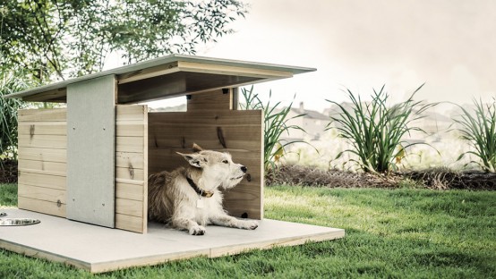 Puphaus: Stylish Modern Digs For Your Dog