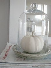 a cloche with a single white pumpkin is a decoration that will work for fall, Thanksgiving and white Halloween, too, it’s universal