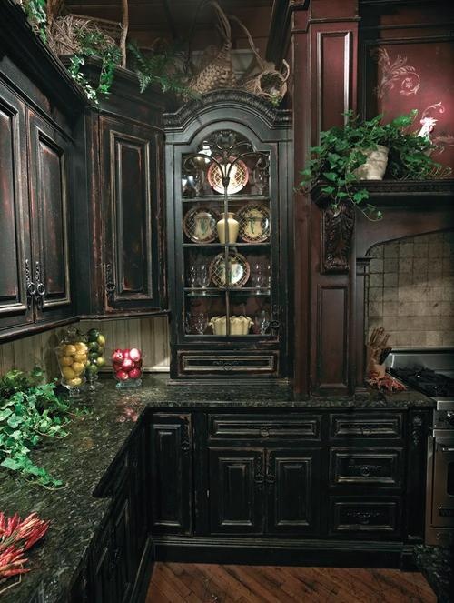 a dark Gothic kitchen with heavy black cabinets, a burgundy hood over the cooker and lots of potted greenery and lights