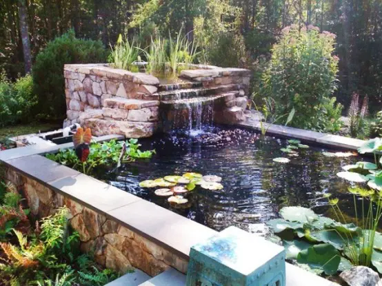 Waterfall could become a practical addition to your fish pond when you have a separate natural filtering zone with water plants.