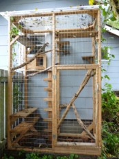 a small yet functional cat patio with branches, shelves and cat trees plus an entrance from the house directly