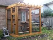 a small cat patio of wood and mesh, a green lawn and a large cat tree is a cool space for your cats to spend some time