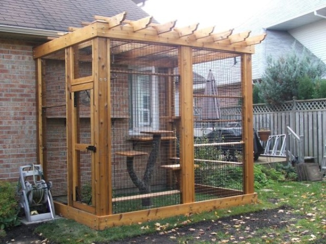 A small cat patio of wood and mesh, a green lawn and a large cat tree is a cool space for your cats to spend some time