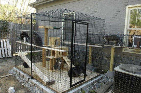 a large cat cage with a plywood cat tree and shelves and ladders to climb is a great place for your furry friends to stay
