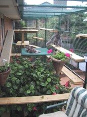 a natural oversized cat patio with lots of greenery and bright blooms, cat trees and shelves for cats to stay on them