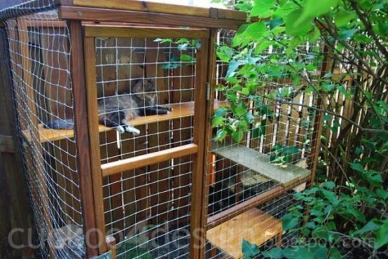 a small outdoor cat enclosure with shelves and natural greenery is a nice space for cats