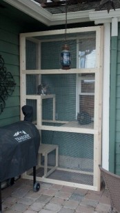 a small catio of wood and mesh, with several shelves at different levels is a cool idea, the entrance is from the house