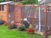 a large multi-level cat patio with cat trees, toilets, beds and toys hanging down