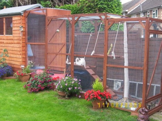 a large multi-level cat patio with cat trees, toilets, beds and toys hanging down