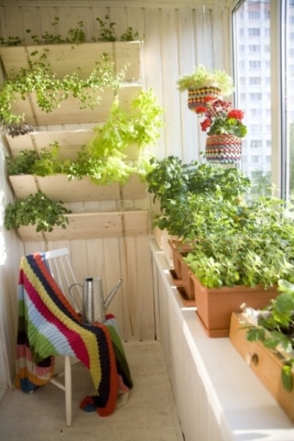 a small balcony turned into an orangery with potted greenery, a vertical hanging planter, a chair with a bright blanket is a cool and lively space