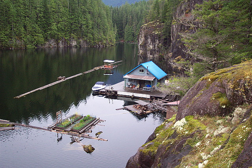 Small Cabin Up The Lake