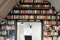 smart-ideas-to-organize-your-books-at-home-15