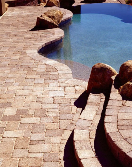 A quirky shaped pool with a stone deck and large rocks to imitate some natural landscape is a great idea for a nature loving owner
