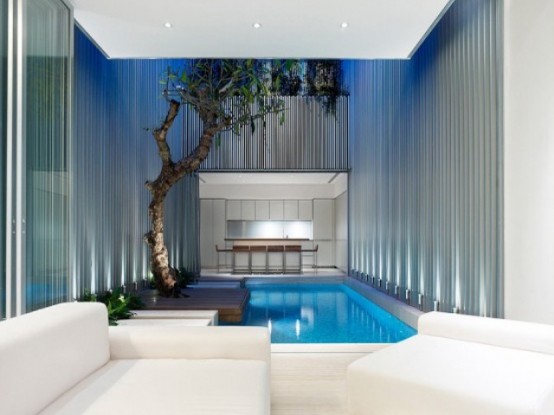 an indoor pool with some plants and a tree growing from a platform is a cool idea for relaxation