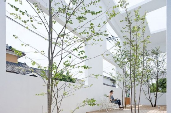 trees growing right from the floor create a chic and cool garden right inside the space and make the space feel alive