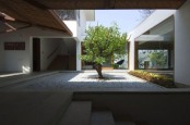 some greenery and a single tree growing in the center of the courtyard make the space feel outdoor and very alive