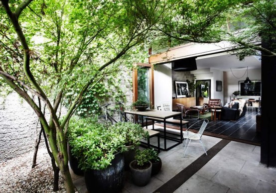 a terrace inside the house with potted plants and some trees growing here is a cool idea to refresh the spaces