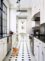 stylish-and-functional-narrow-kitchen-design-ideas-5