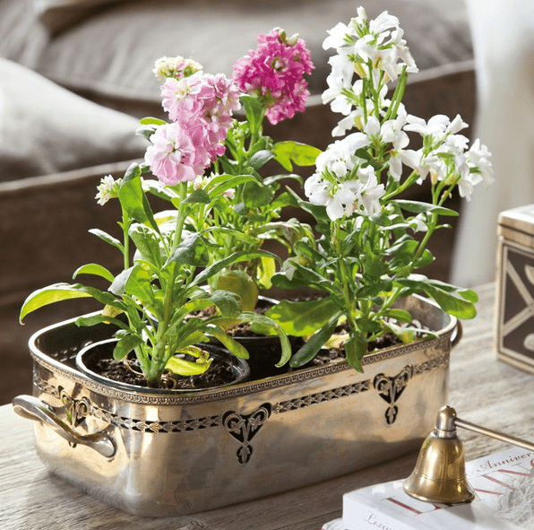 A vintage metal tray with potted blooms is a cool idea for decorating your coffee table