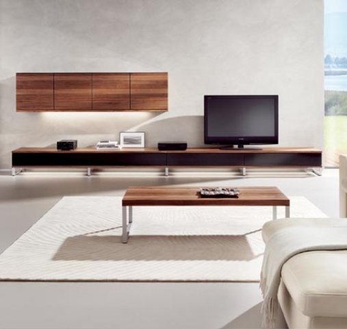a storage system of rich stain and black, two units - on the wall and floor looks veyr minimalist and very chic