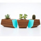 Stylish Natural Walnut Boxcar Planter For Succulents