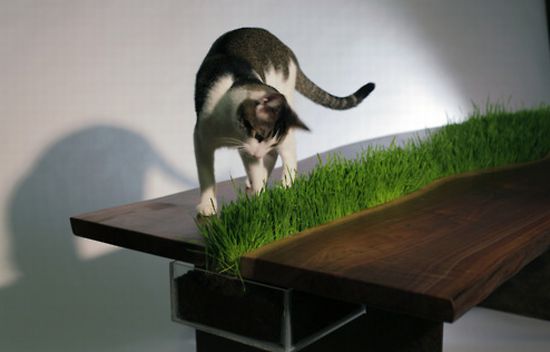 Table With Planter