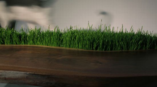 Table With Planter
