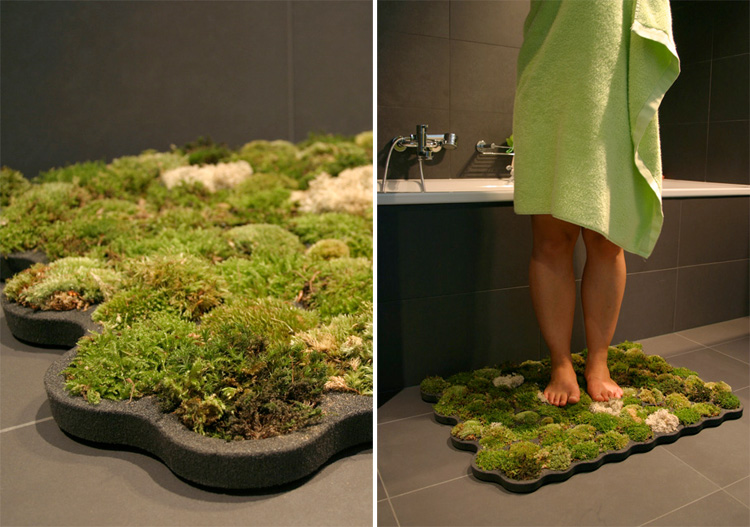 The moss carpet