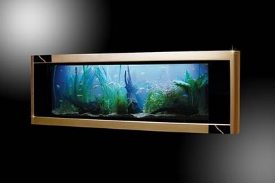 The Most Expensive Aquarium