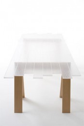 Transparent Wood Table