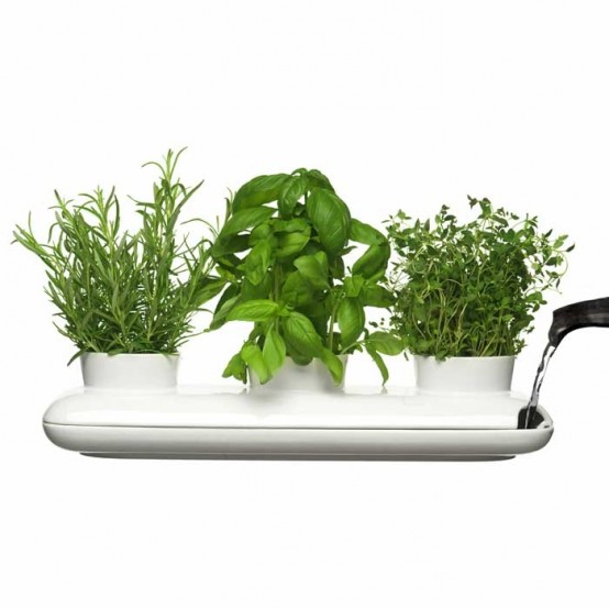 Sagaform’s Trio Herb Pot – Contemporary Way to Grow Fresh Herbs at Home