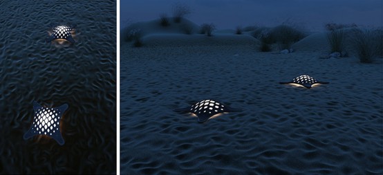 Turtle Solar Lighting For Modern Outdoor Spaces