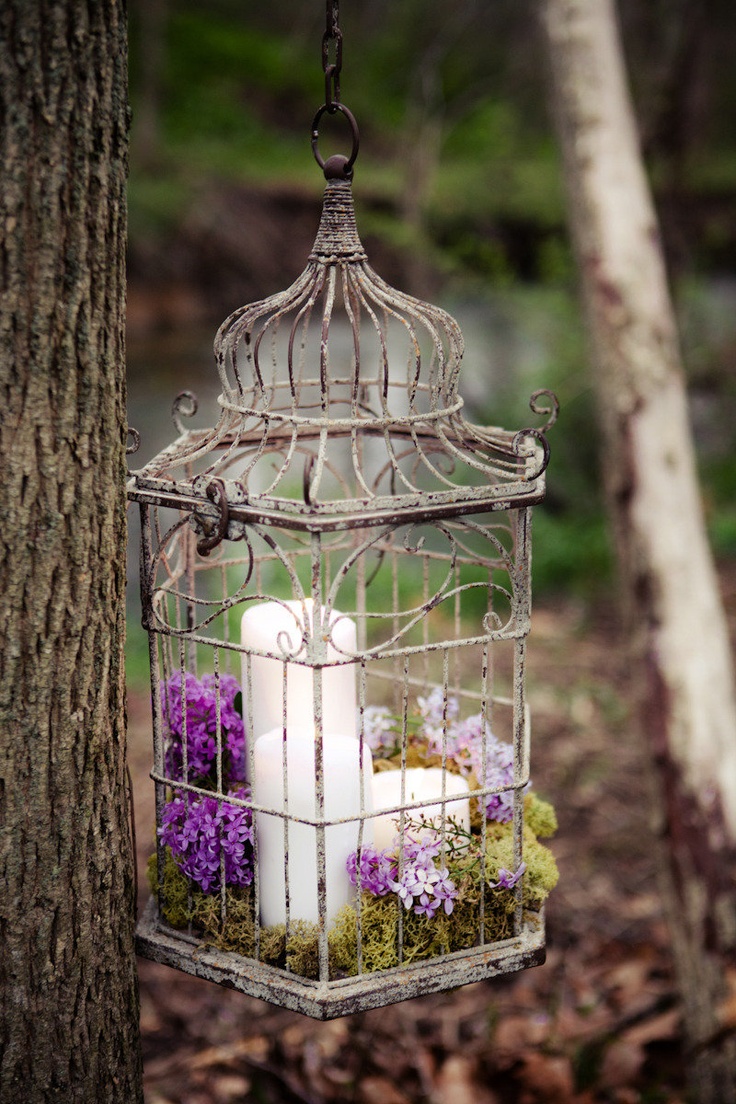 Put some moss, flower petals and candles into a bird cage and it'd become an awesome hanging or standing centerpieces.