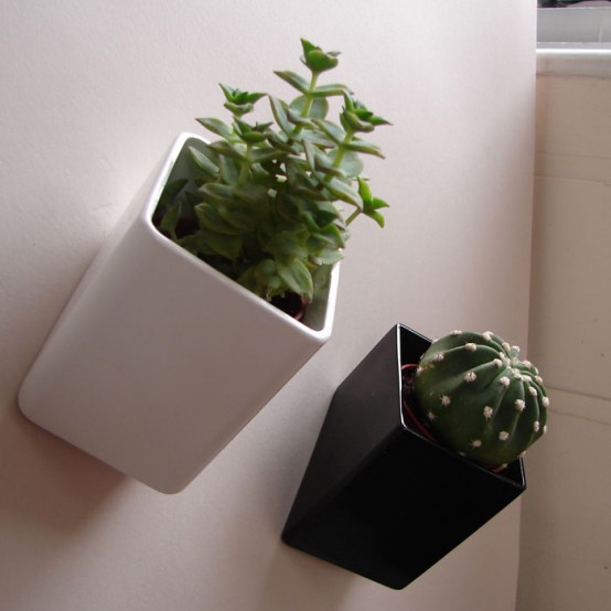Wall Mounted Flower Pots – Off The Wall by Thelermont Hupton