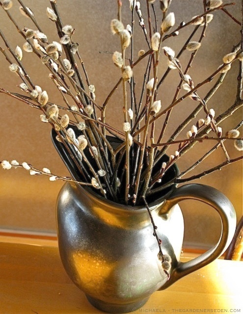 a vintage jug with willow is a cool rustic and vintage decoration for spring
