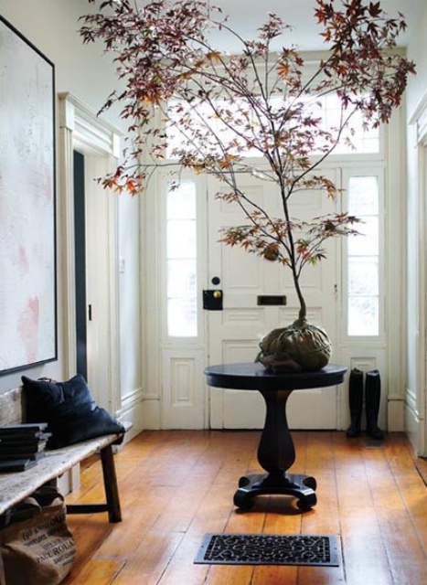 a rock with a whole tree with bold leaves attached is a cool entryway decoration for the fall
